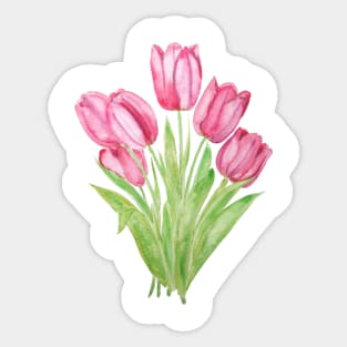 pink tulips watercolor Sticker